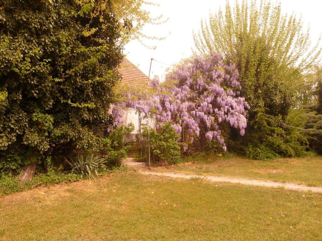 Villa Dobo Tanya Roszke Exterior foto