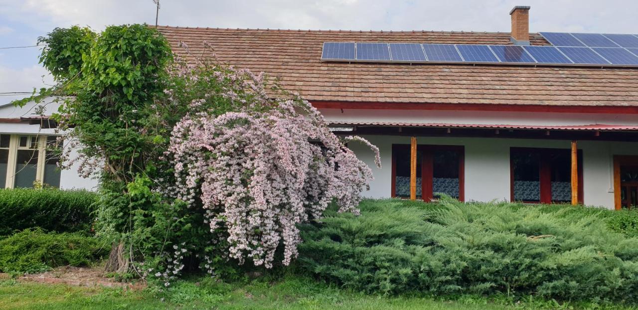 Villa Dobo Tanya Roszke Exterior foto