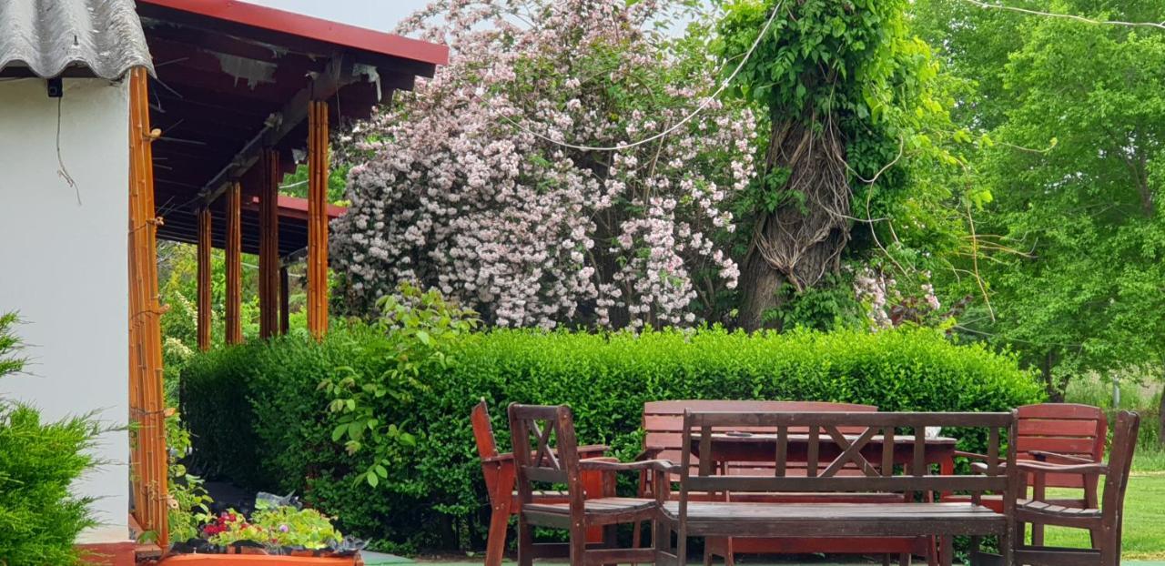 Villa Dobo Tanya Roszke Exterior foto